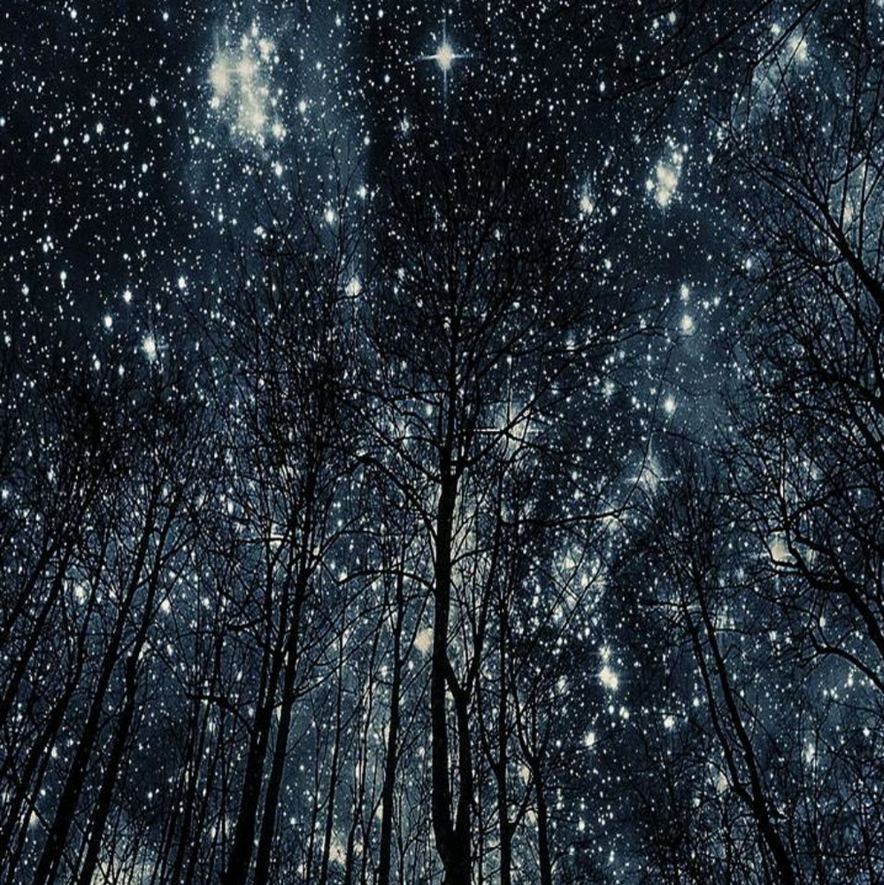 Meet your Posher, Esmeralda